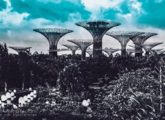 醫院、餐廳、干洗店也有VOCs排放？